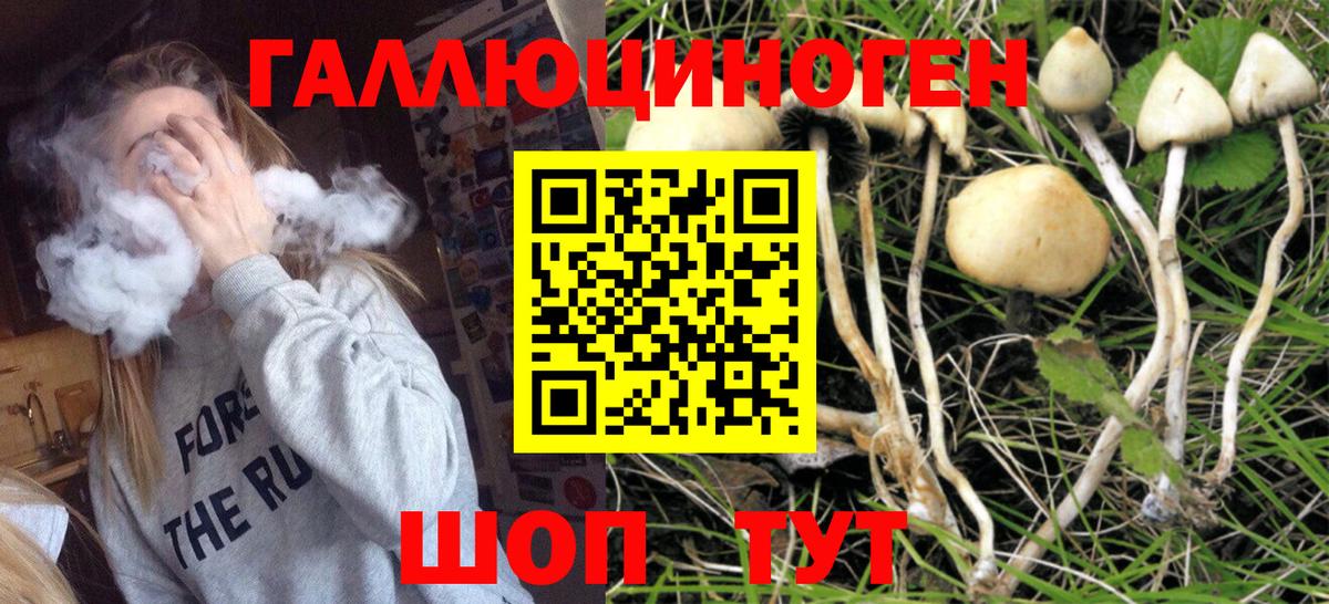 Галлюциногенные грибы прущие грибы Домодедово