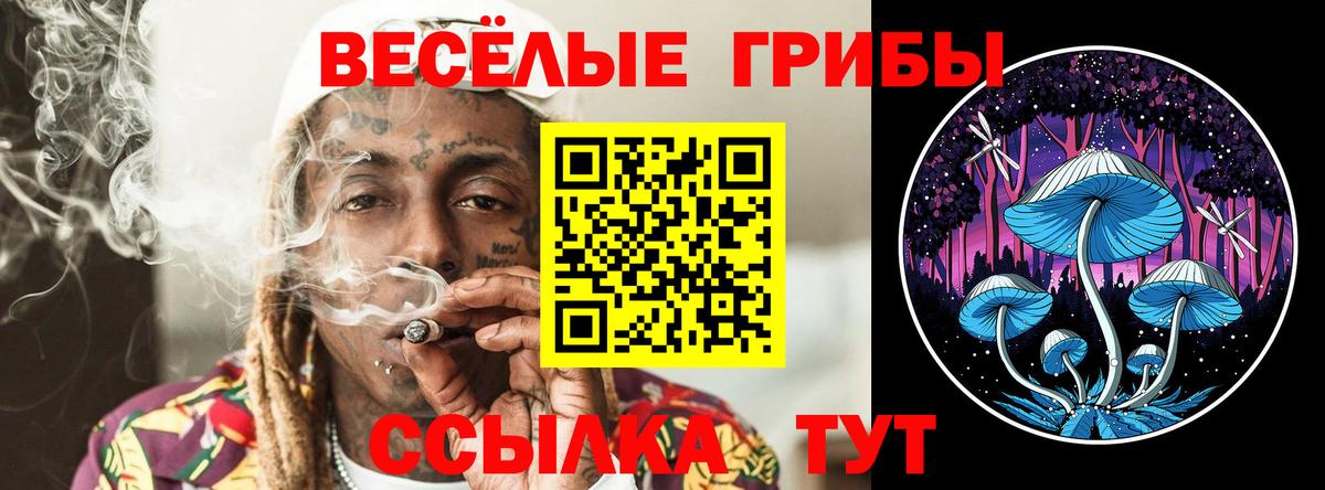 Псилоцибиновые грибы Psilocybine cubensis  Вход с VPN  Домодедово 